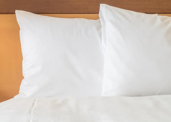 Hotel Crowne Plaza Chicago-northbrook By Ihg 4*